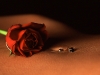 Bauchnabelpiercing mit Rose